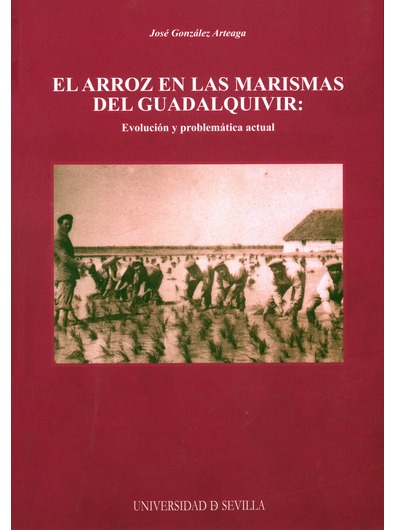 imagenArticulo