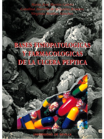 imagenArticulo
